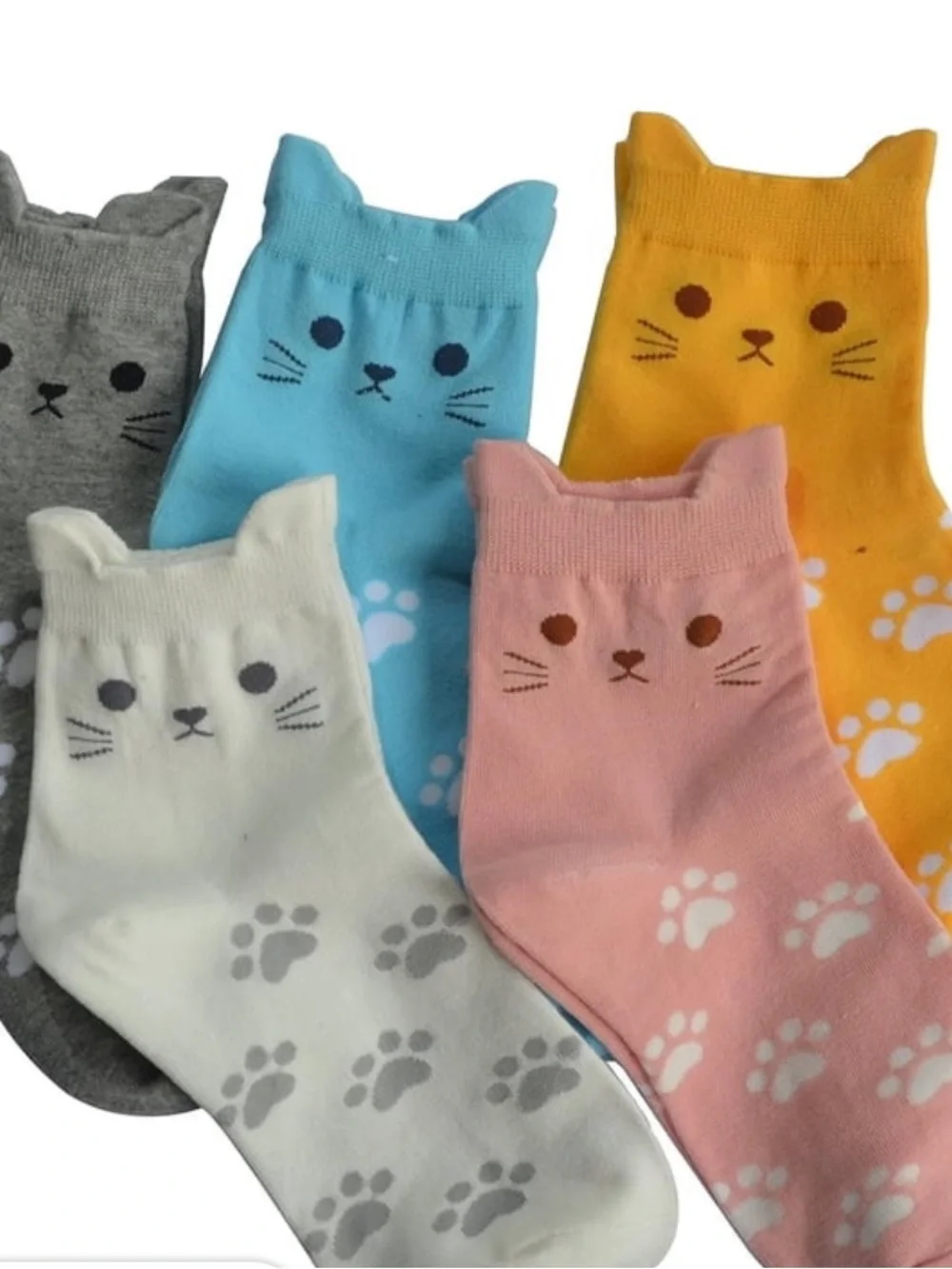 Cat Socks 5 Pairs Brand New in Tin for Gifting
